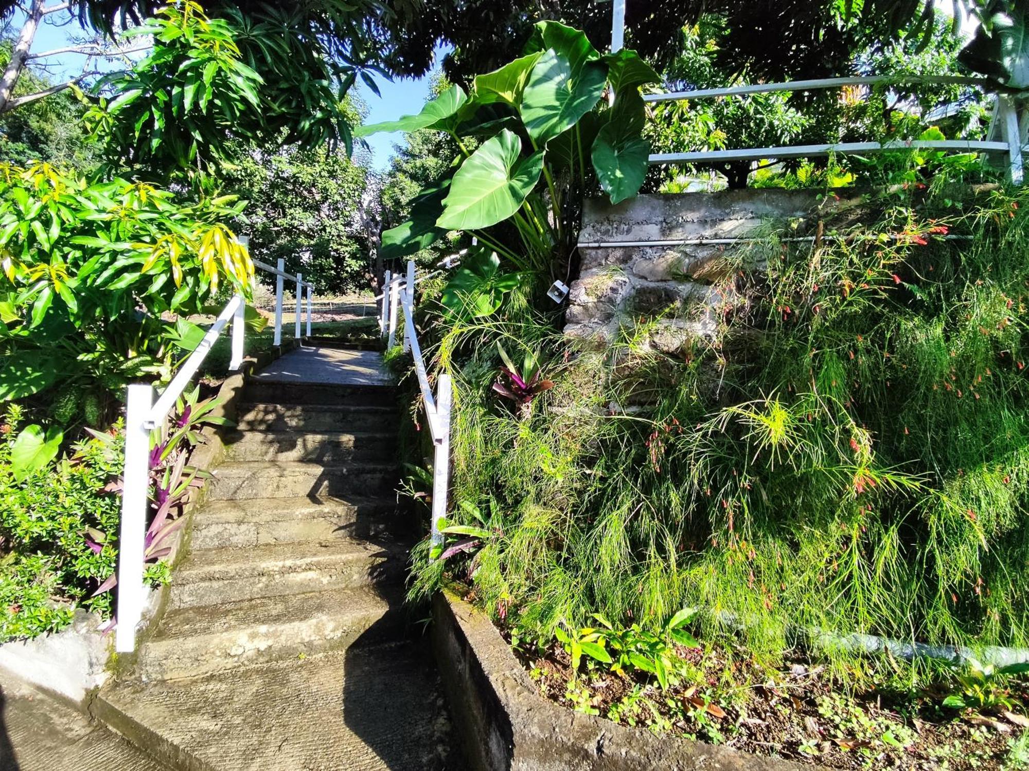 Bungalow With Sea View In 德赛 客房 照片