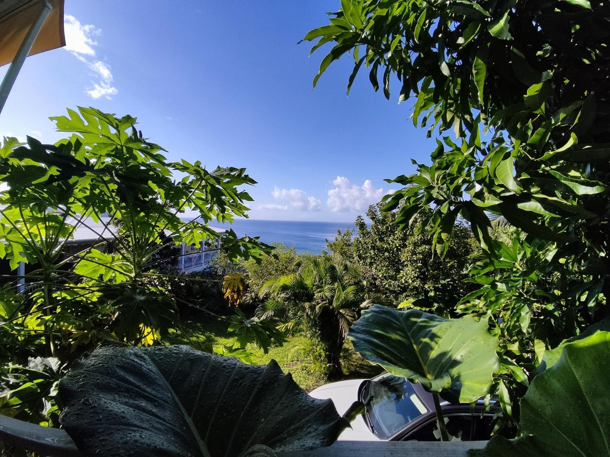 Bungalow With Sea View In 德赛 客房 照片